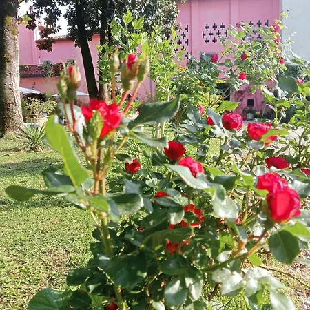 Residenza La Dimora Imperfetta Pensionat 3*