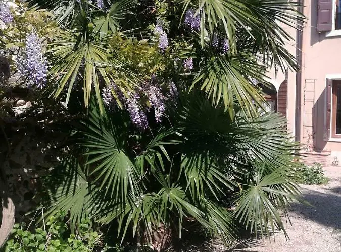 Residenza La Dimora Imperfetta 3*