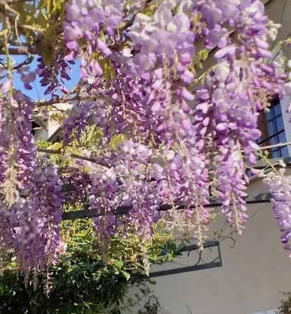 Residenza La Dimora Imperfetta * Salionze