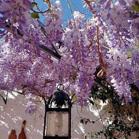 Residenza La Dimora Imperfetta