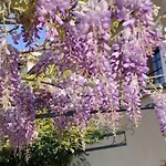 Residenza La Dimora Imperfetta 3* Salionze