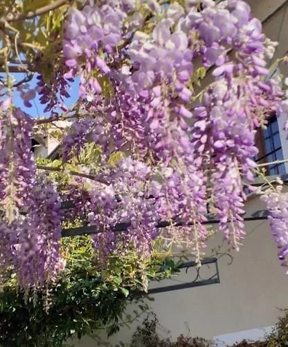 Residenza La Dimora Imperfetta 3* Salionze