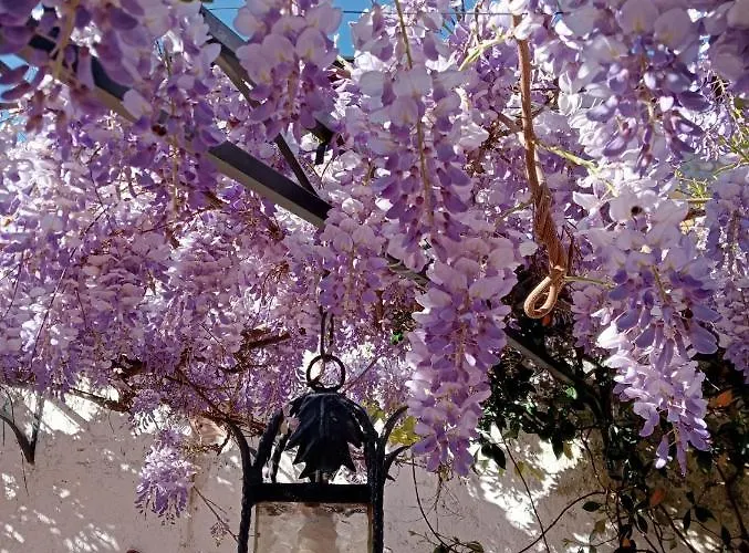 Residenza La Dimora Imperfetta